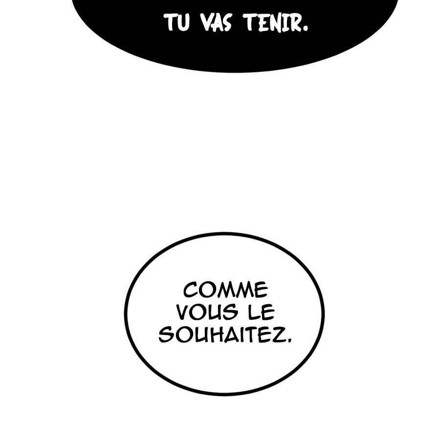 Chapitre 13