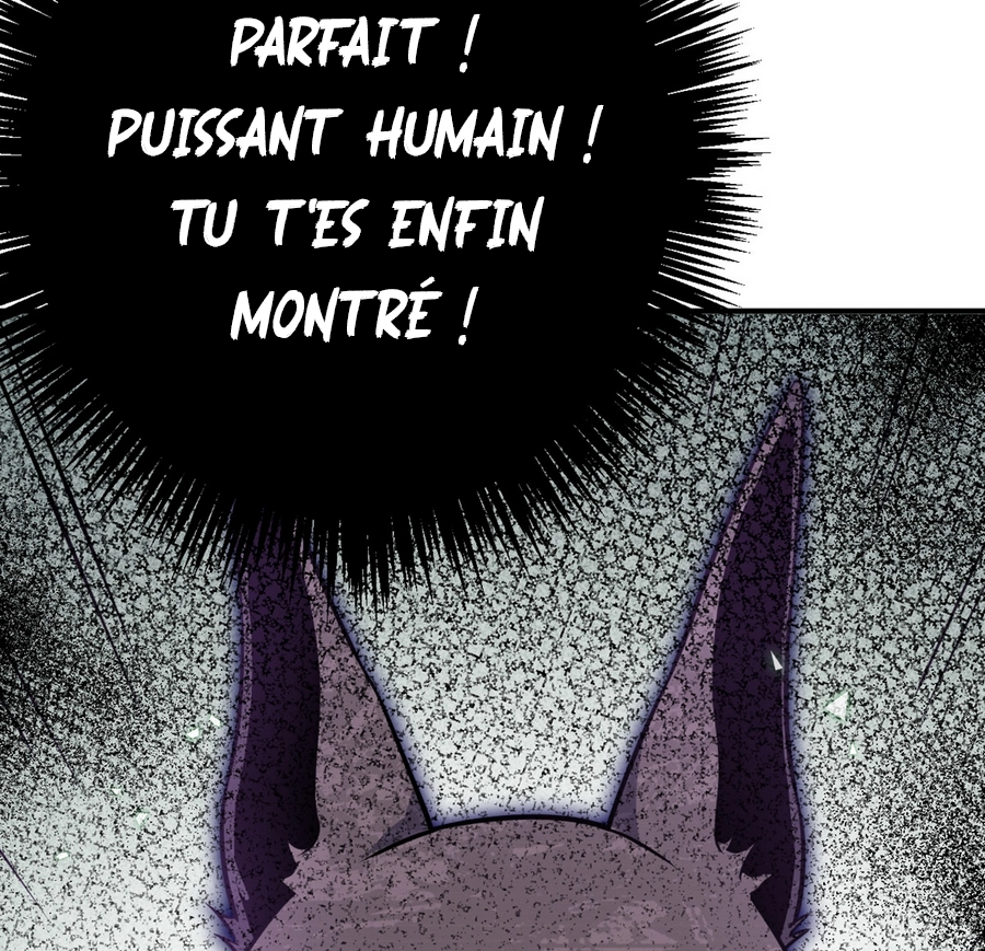 Chapitre 13