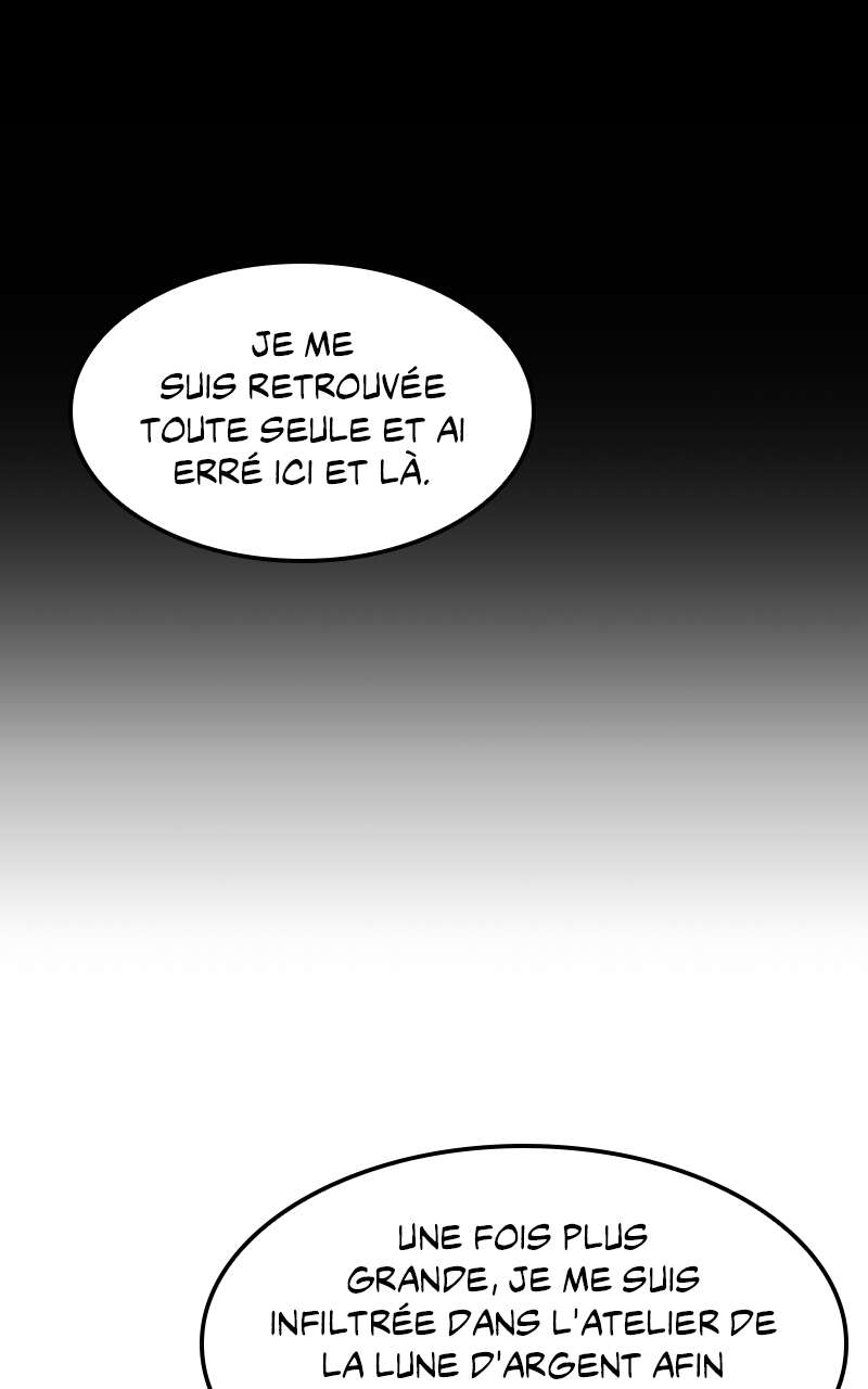 Chapitre 99