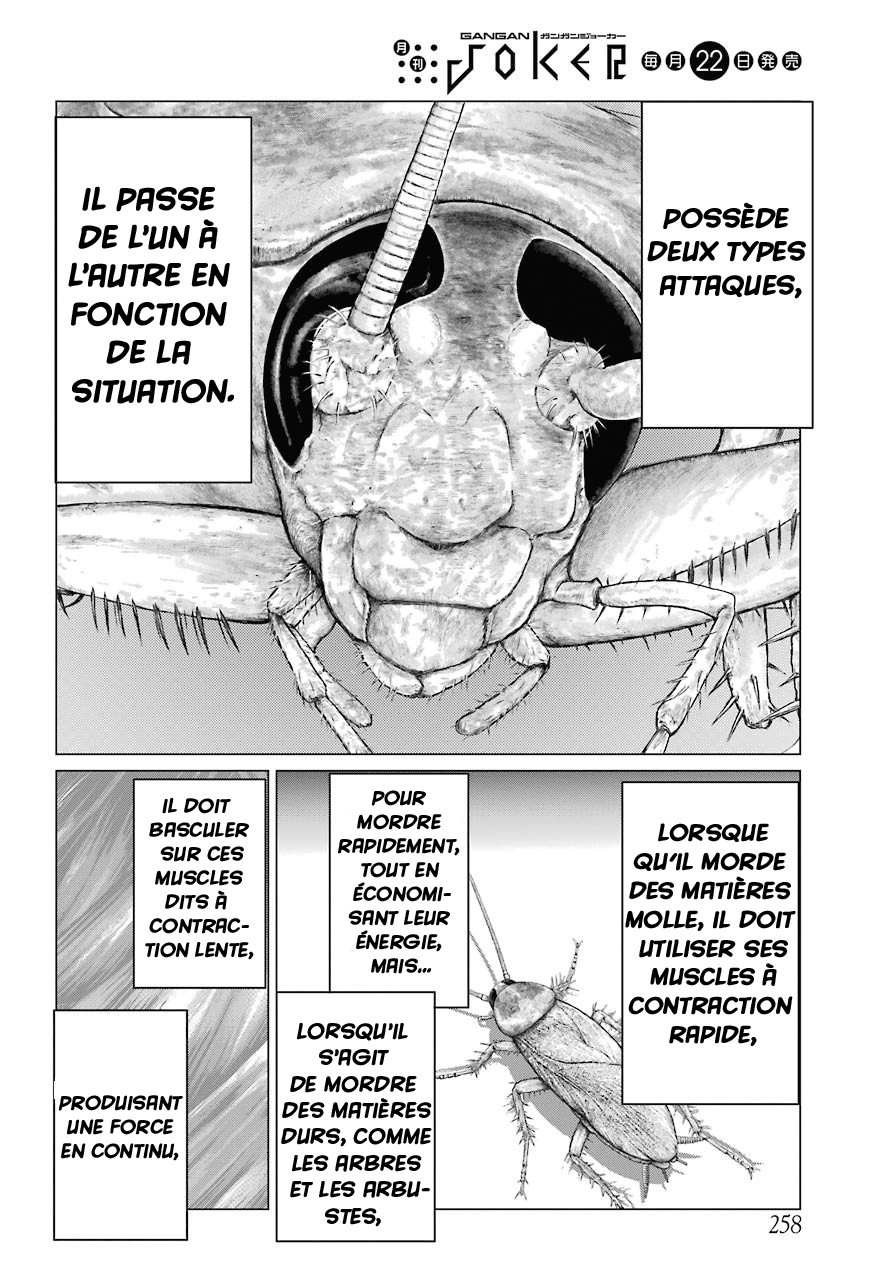 Chapitre 2