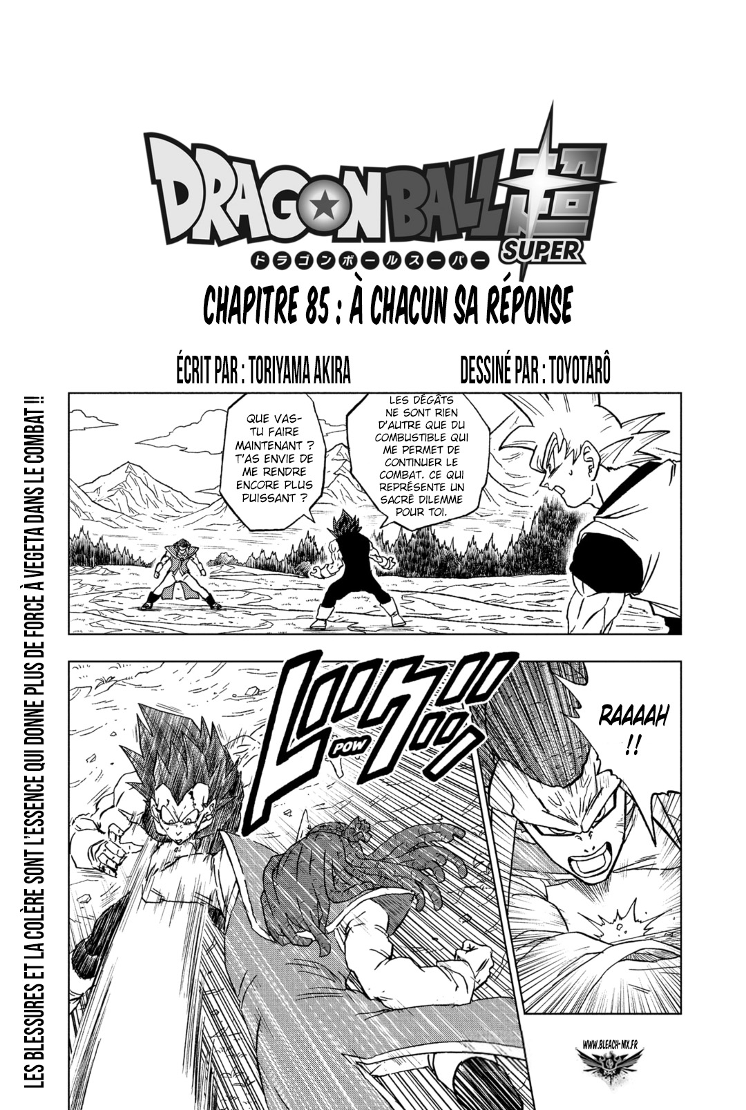 Chapitre 85