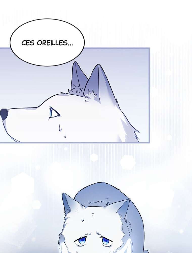 Chapitre 20