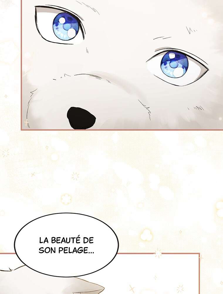 Chapitre 21