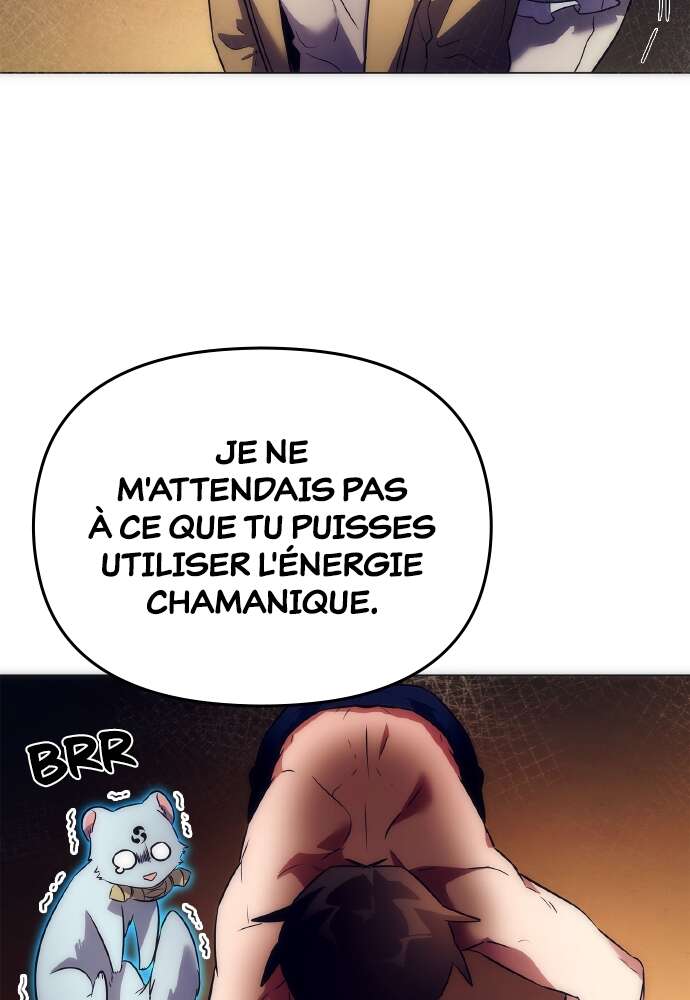 Chapitre 43