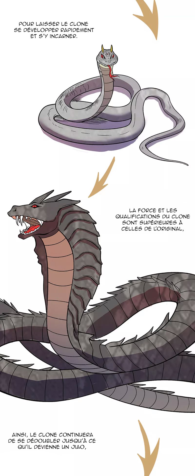 Chapitre 444