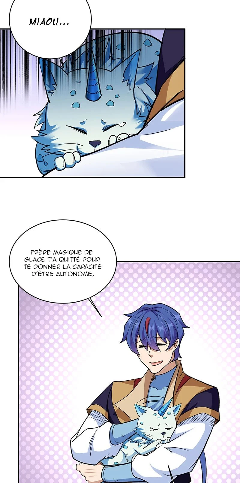 Chapitre 517