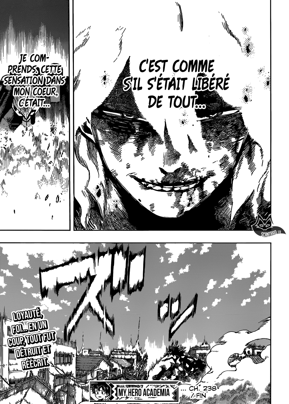 Chapitre 238