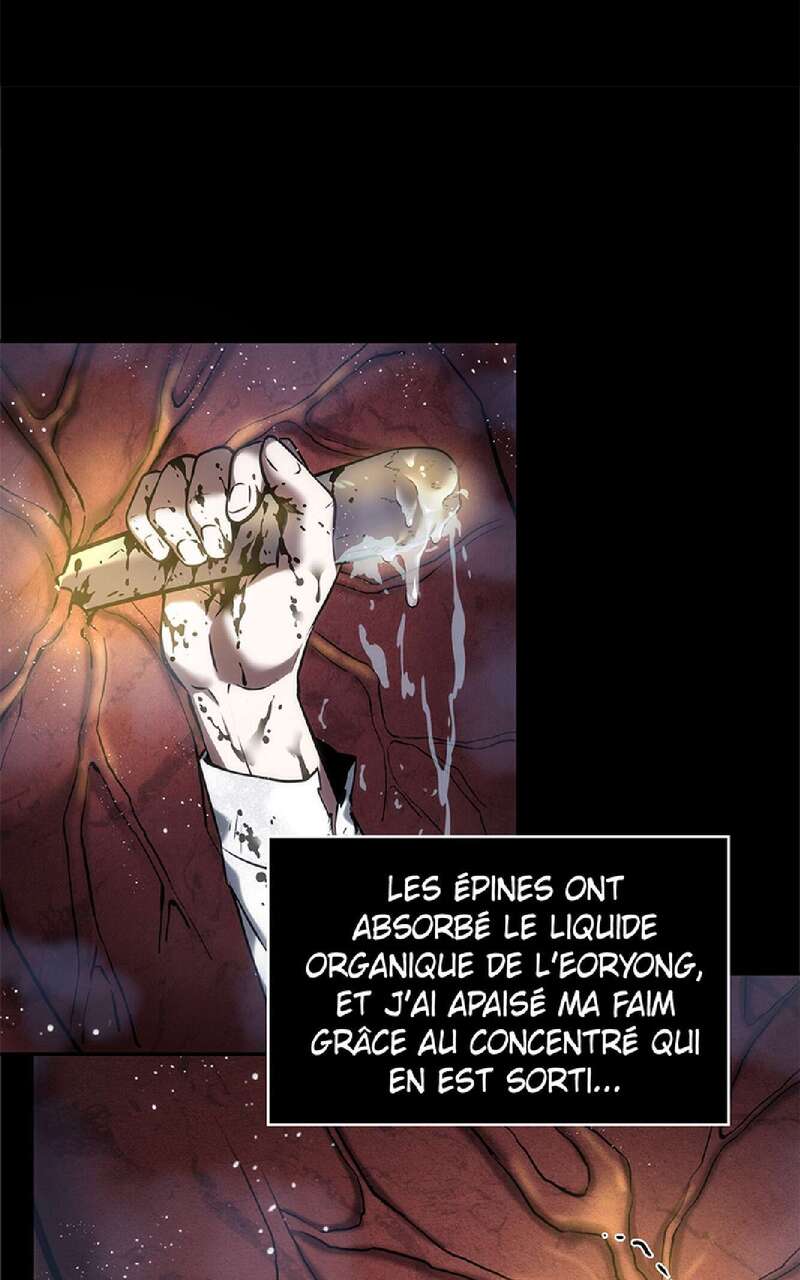 Chapitre 15