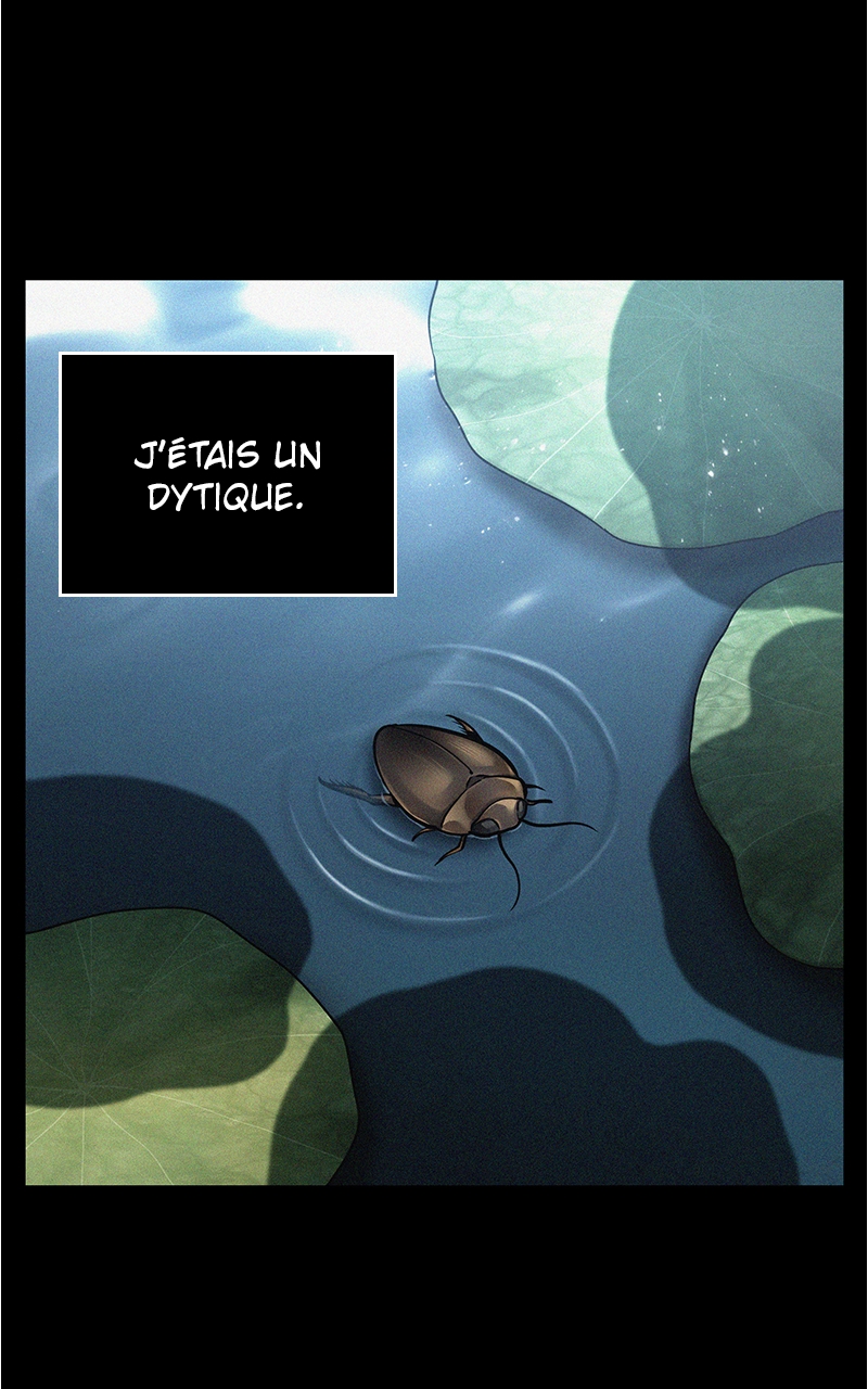 Chapitre 150