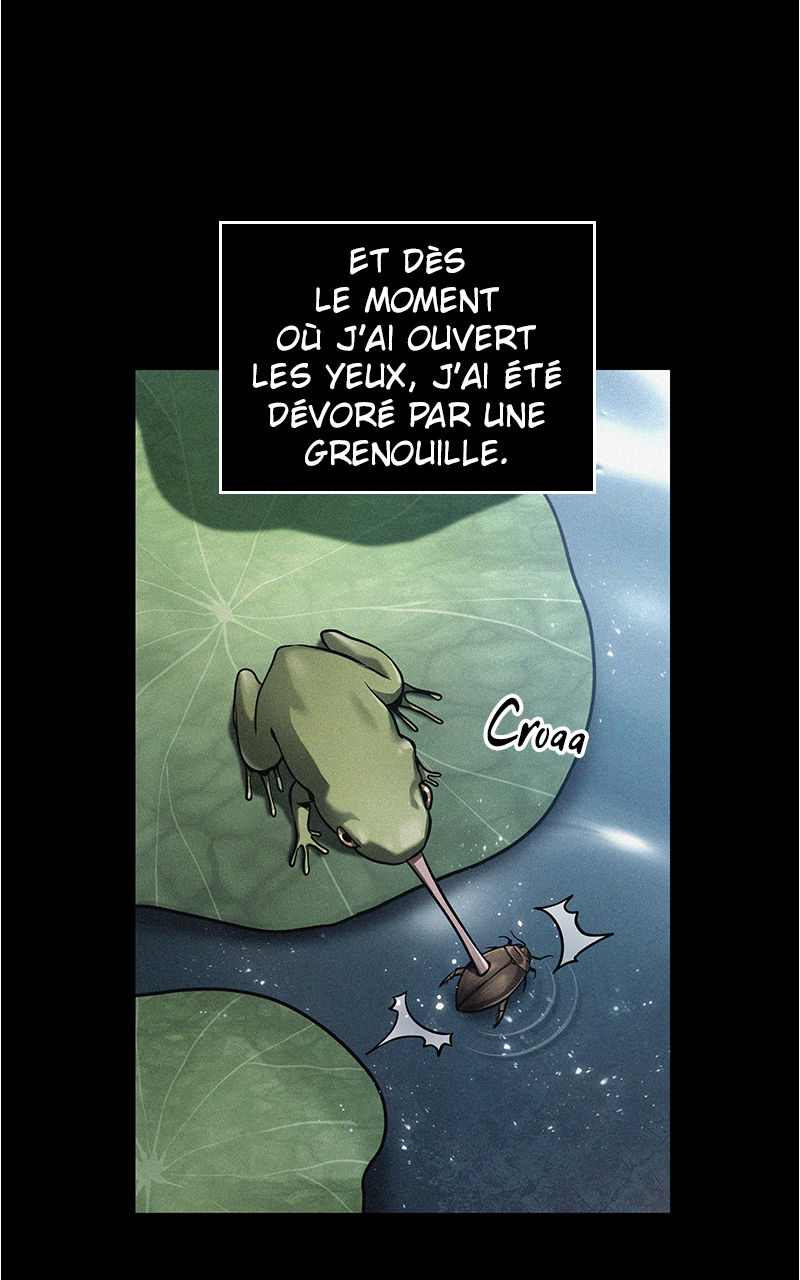 Chapitre 150