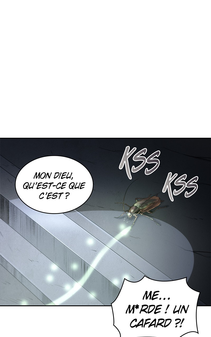 Chapitre 20