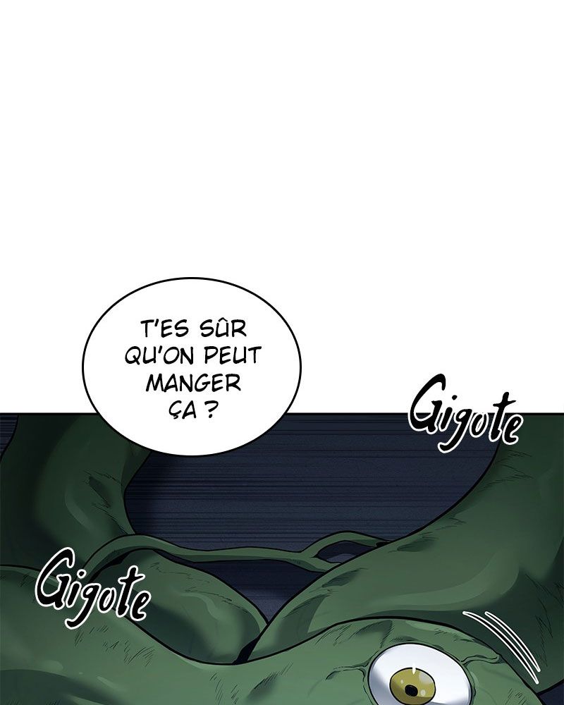 Chapitre 87