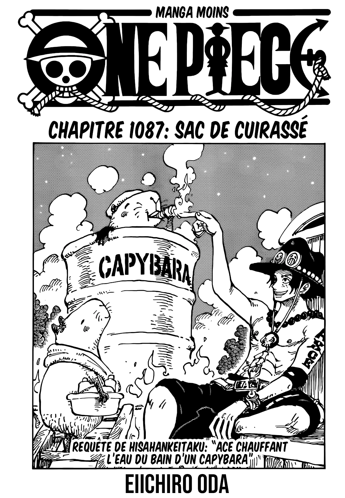 Chapitre 1087