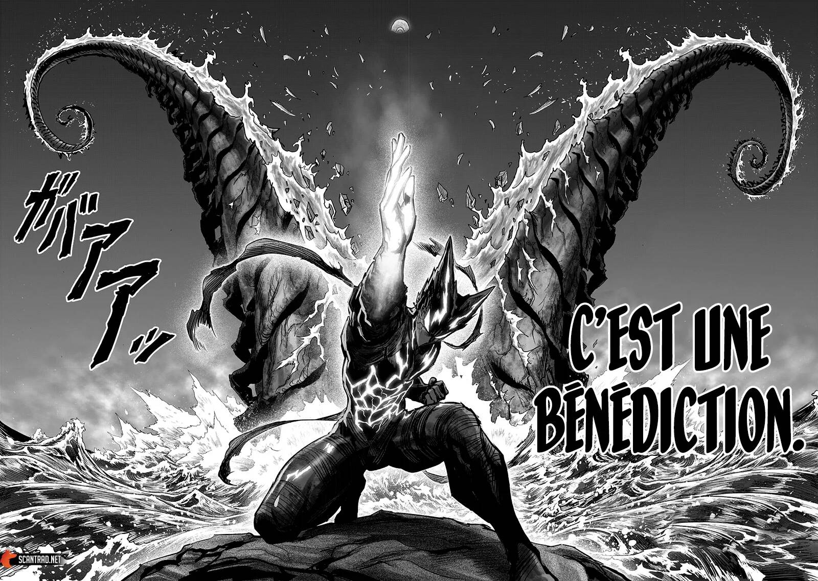 Chapitre 216