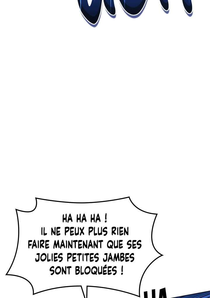 Chapitre 132