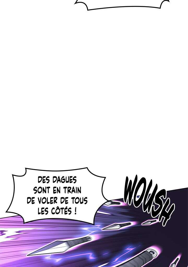 Chapitre 132