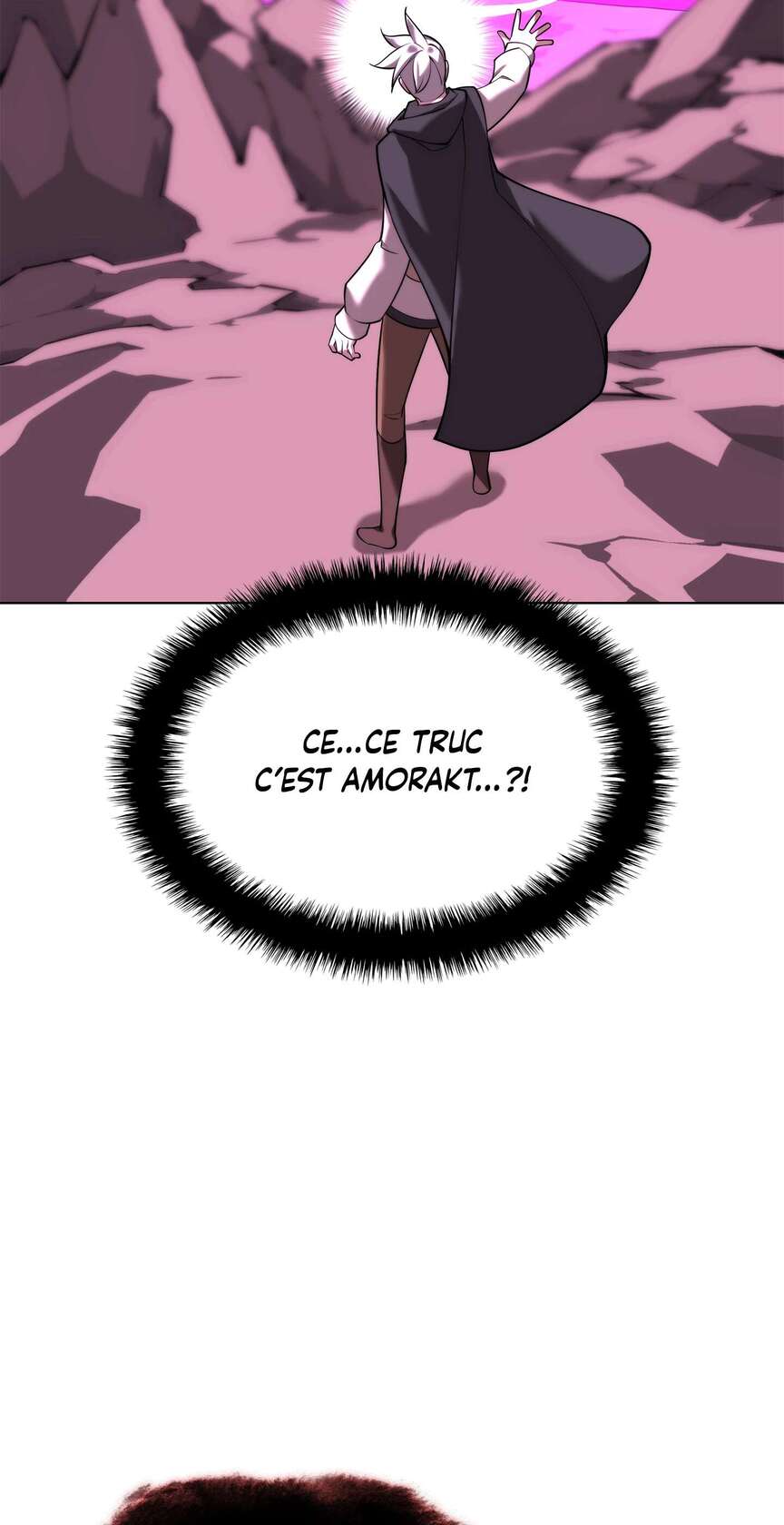 Chapitre 163