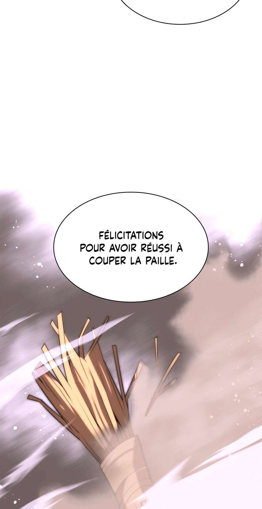 Chapitre 166