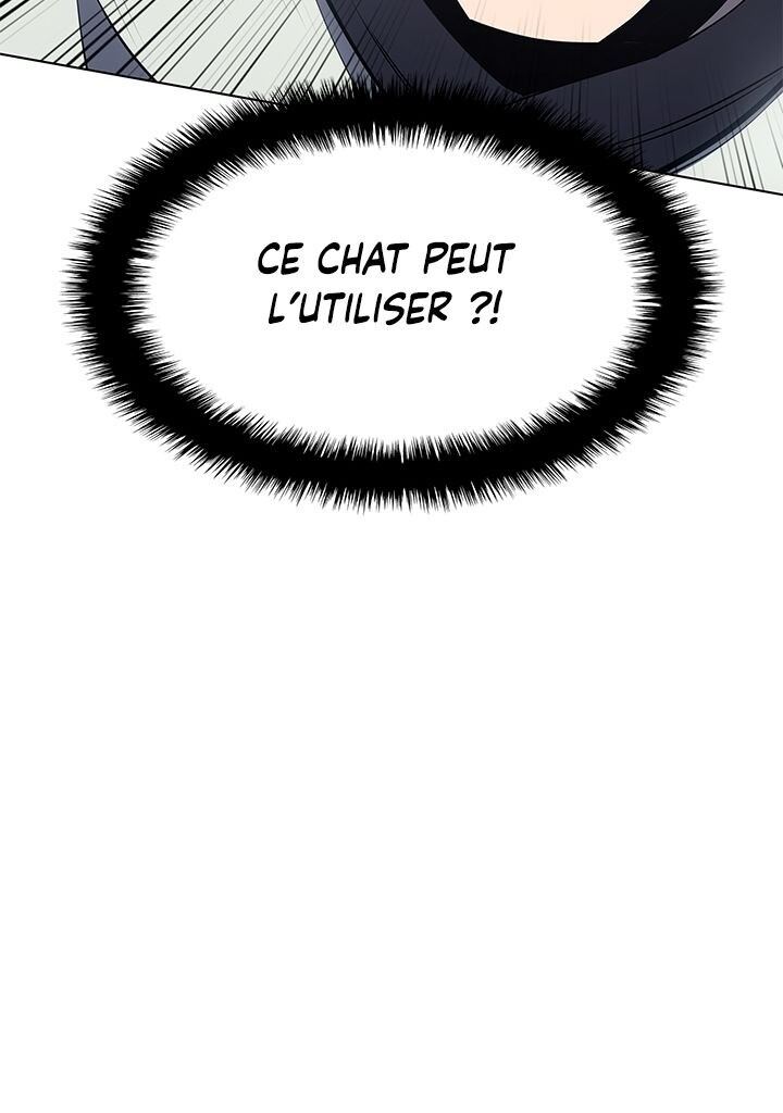 Chapitre 99