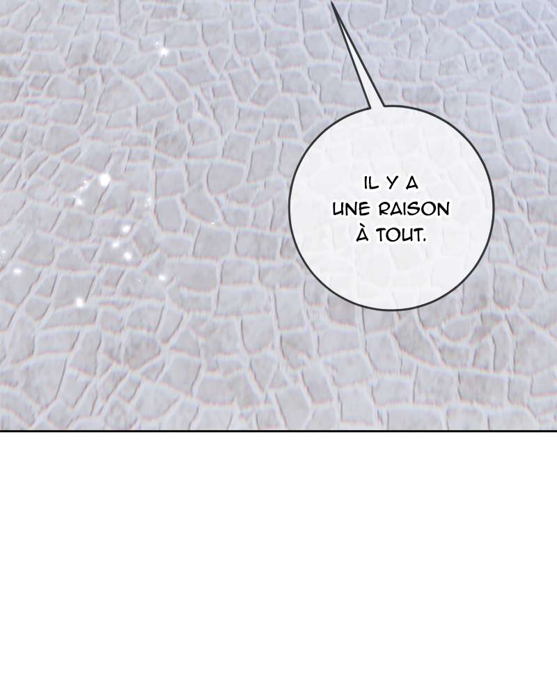 Chapitre 102