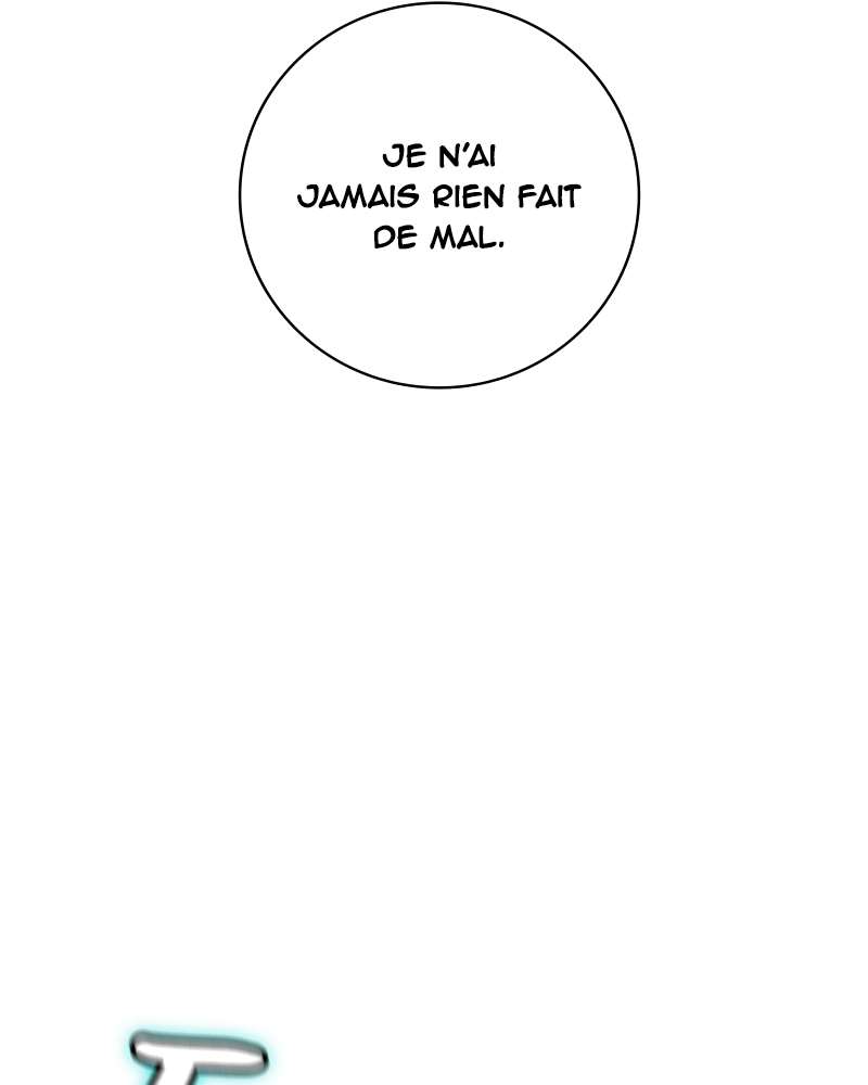 Chapitre 102