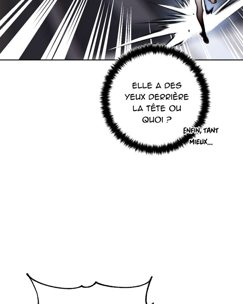 Chapitre 102