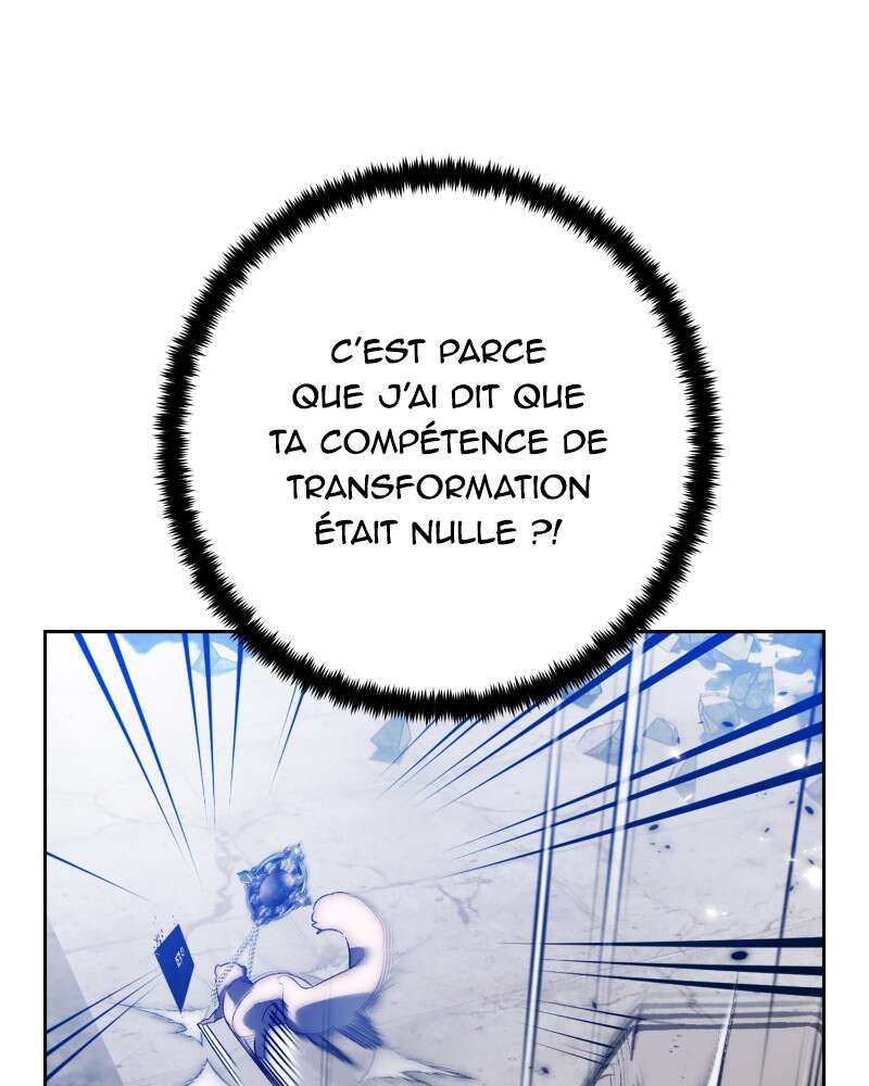 Chapitre 105