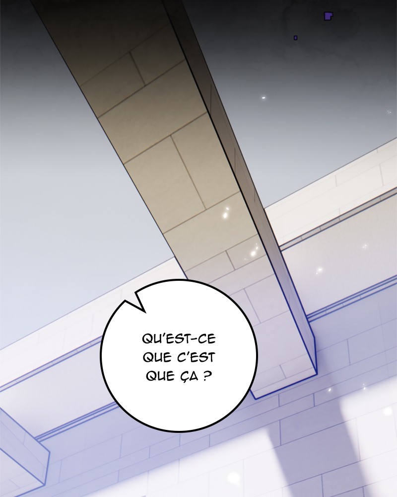 Chapitre 111