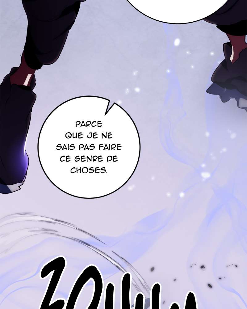 Chapitre 117