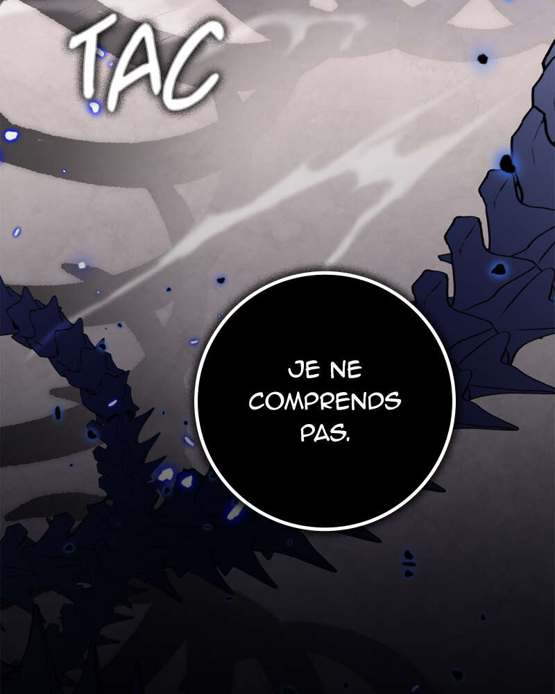 Chapitre 141