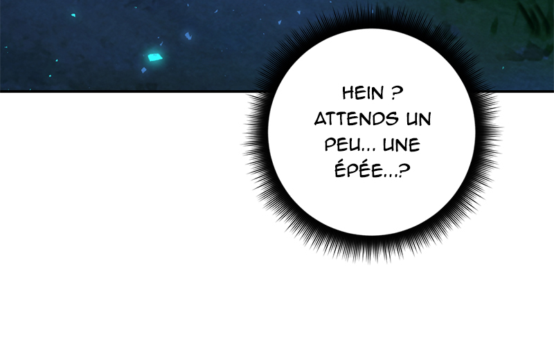 Chapitre 29