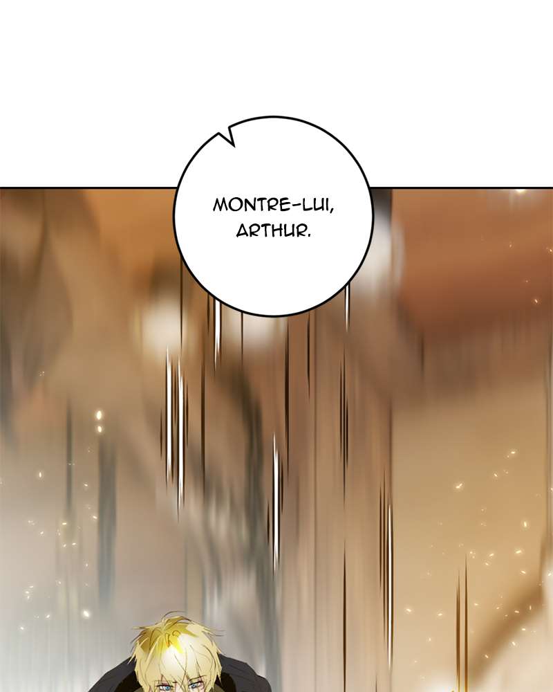 Chapitre 85