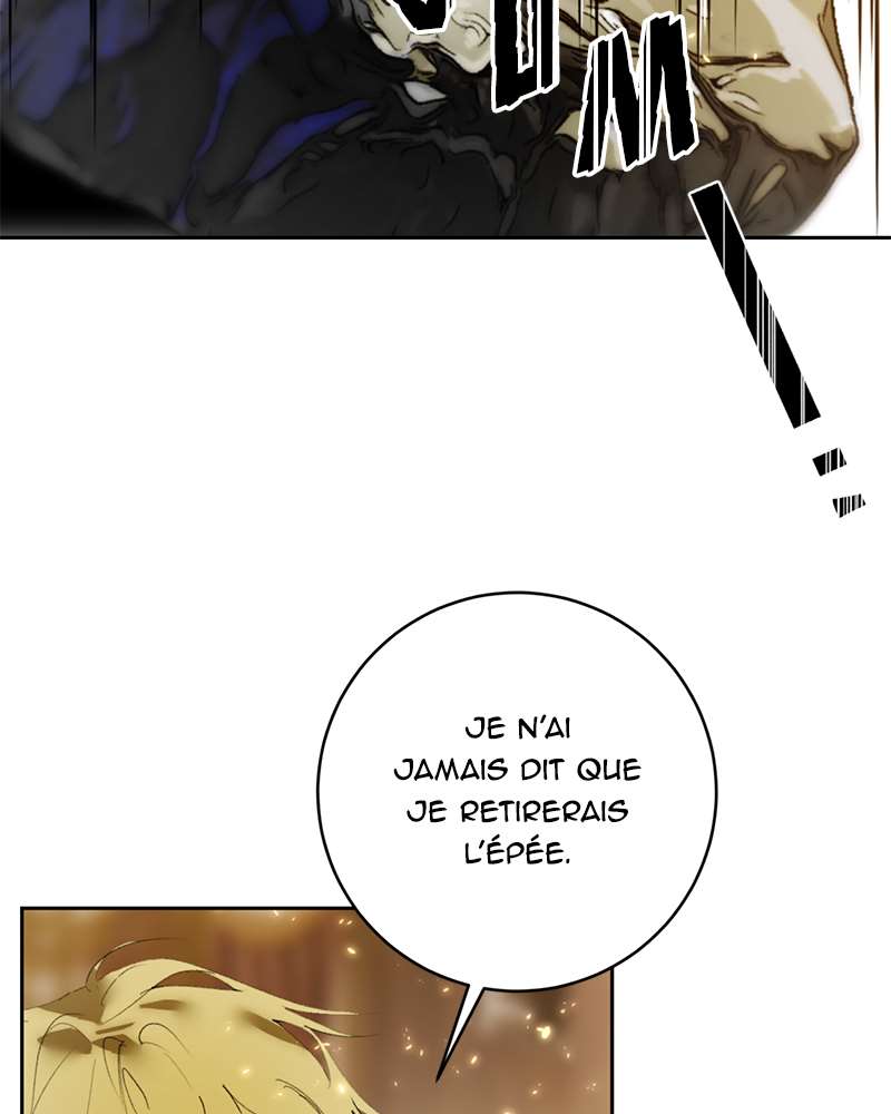 Chapitre 85