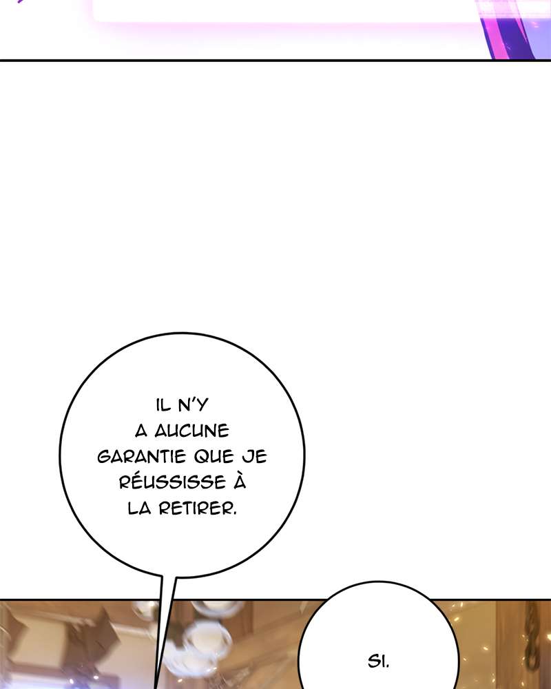 Chapitre 85