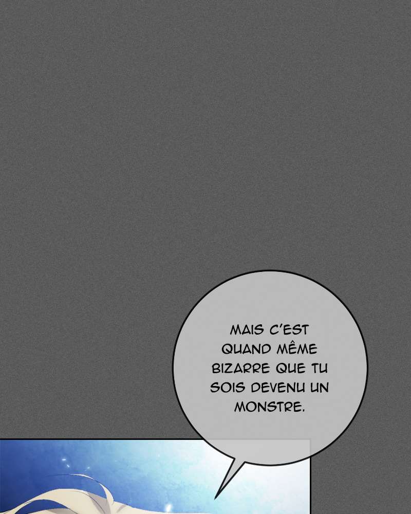 Chapitre 87