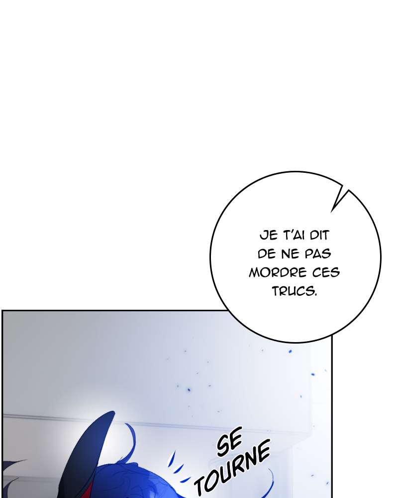 Chapitre 95