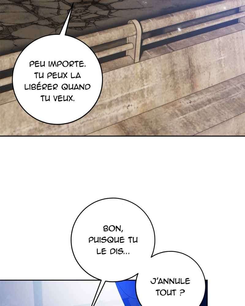 Chapitre 99