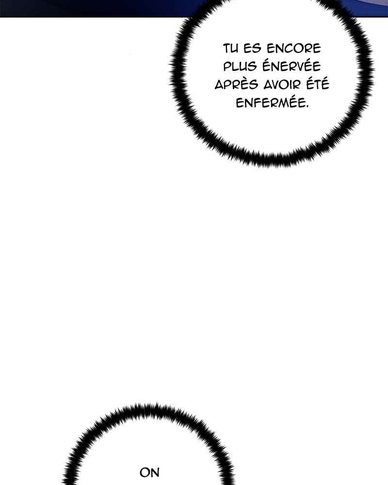 Chapitre 99