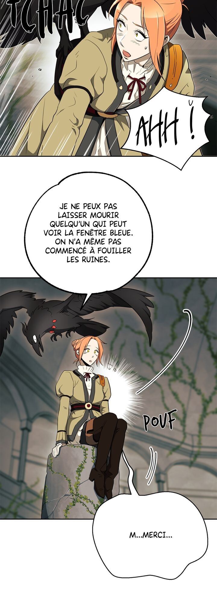 Chapitre 101