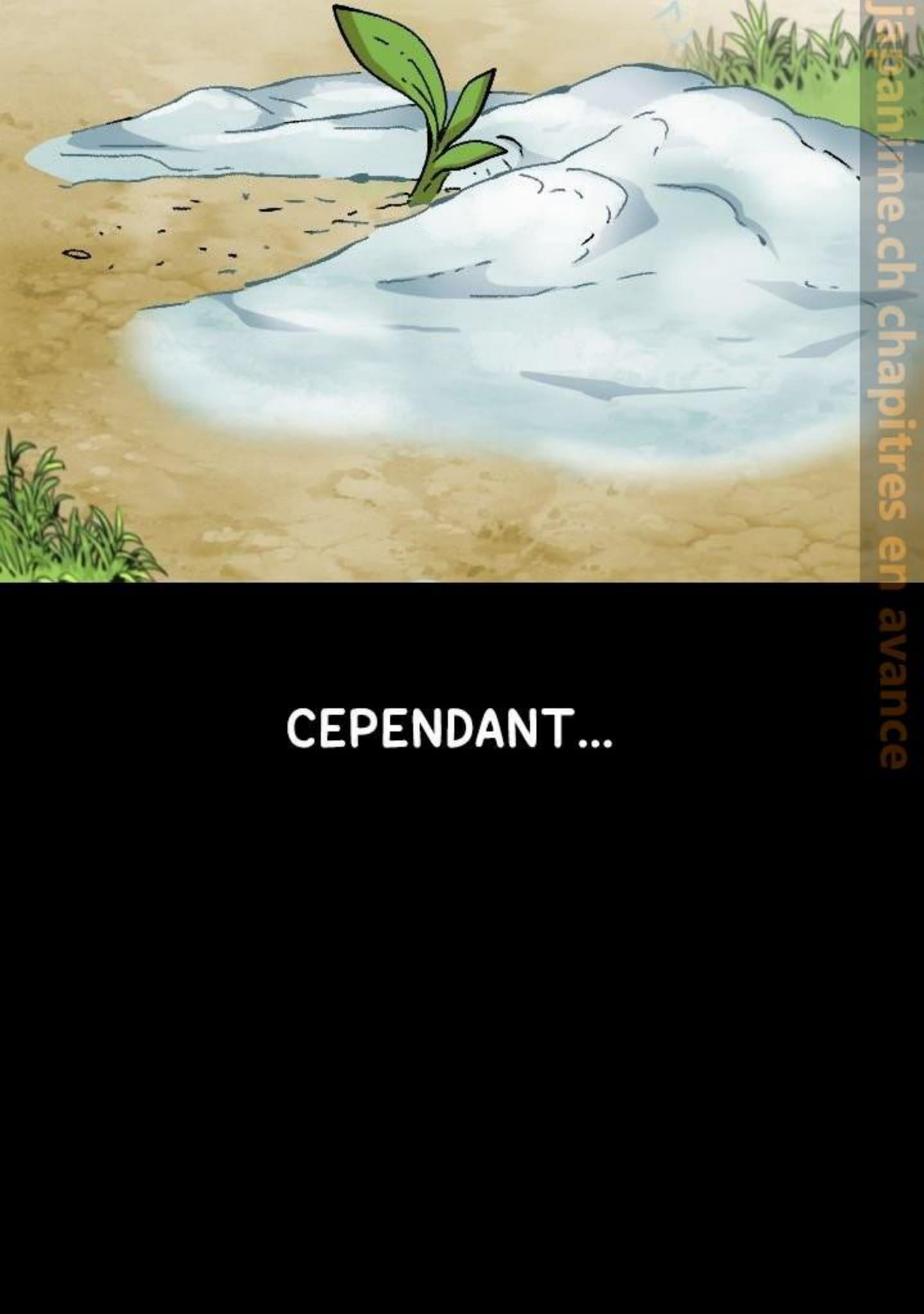 Chapitre 41