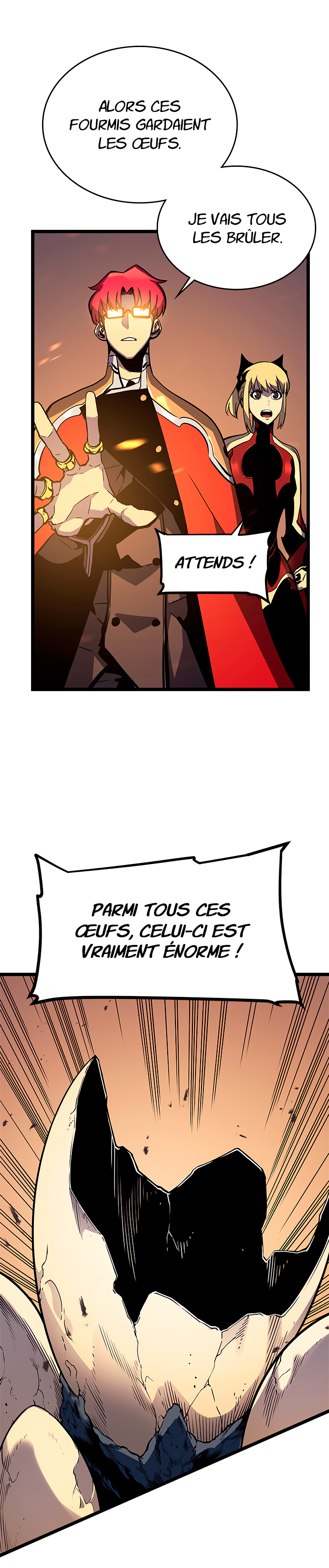 Chapitre 96