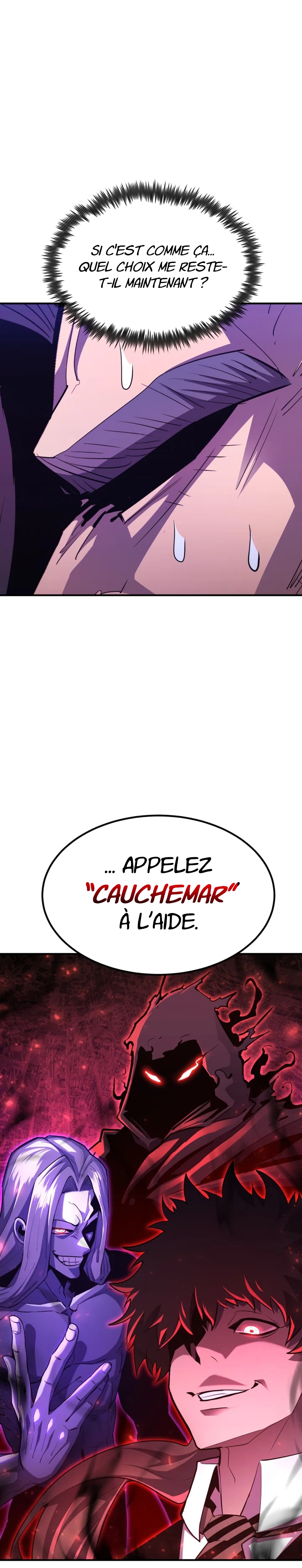 Chapitre 100