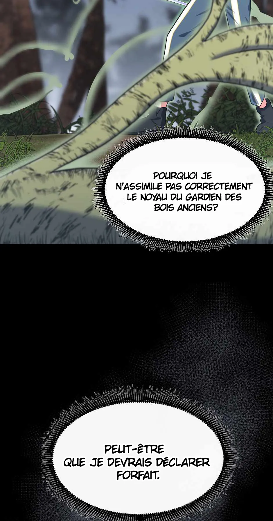 Chapitre 100