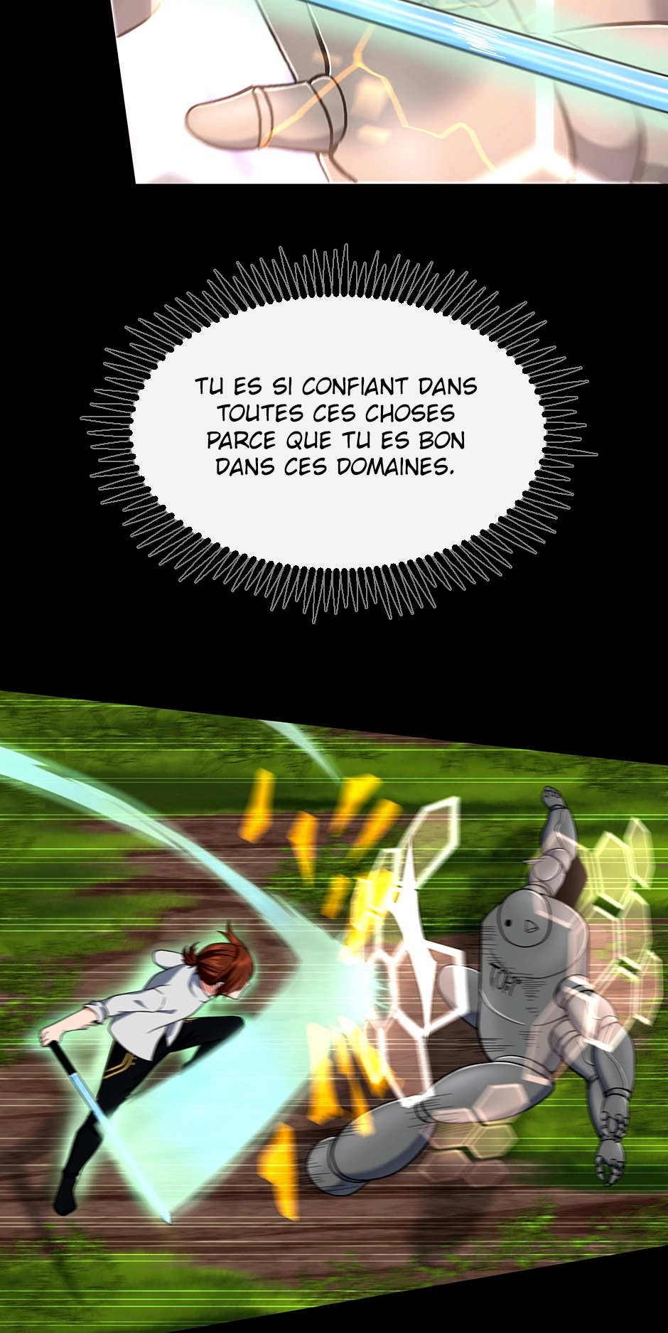 Chapitre 106