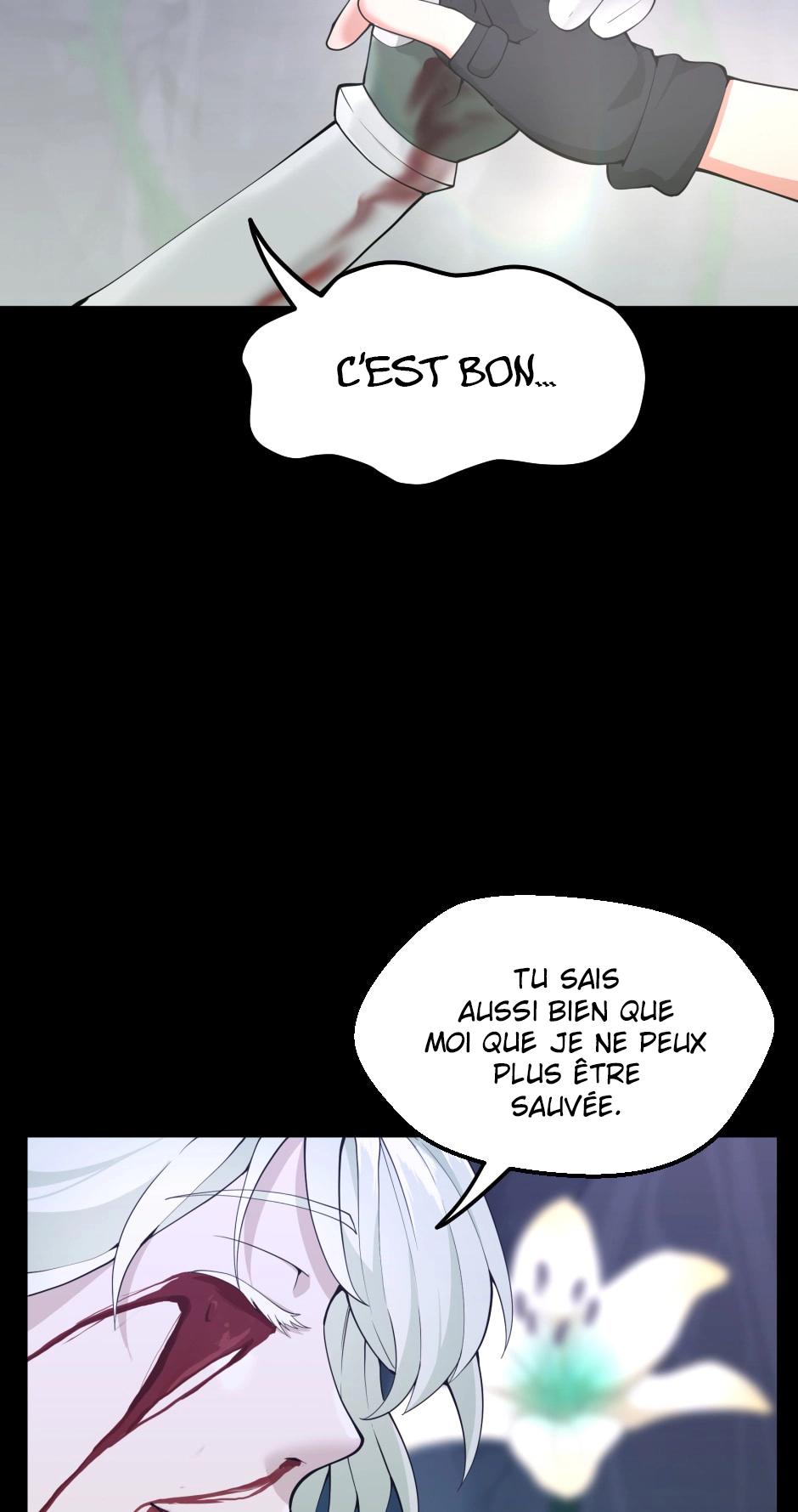 Chapitre 119