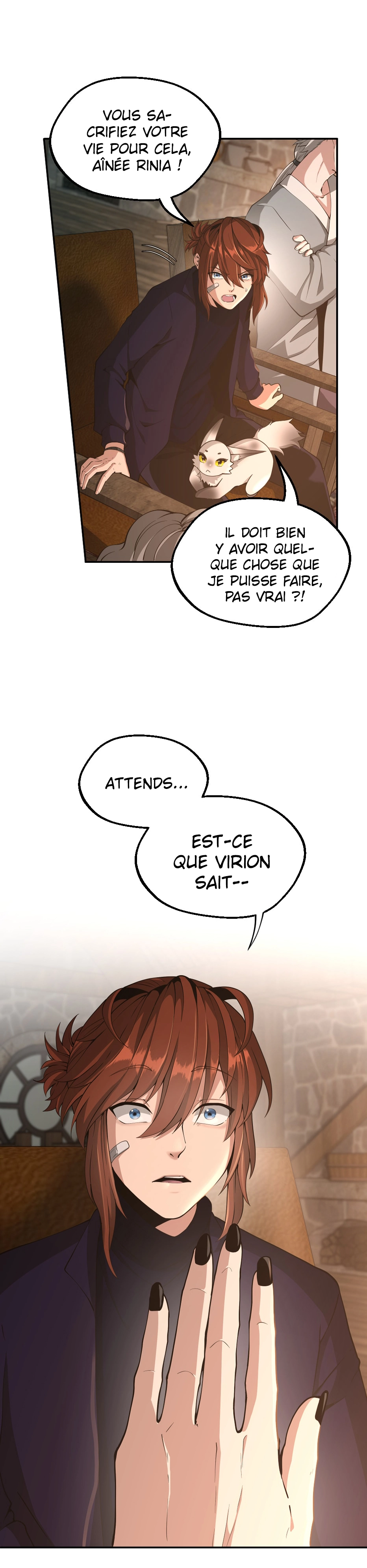 Chapitre 132