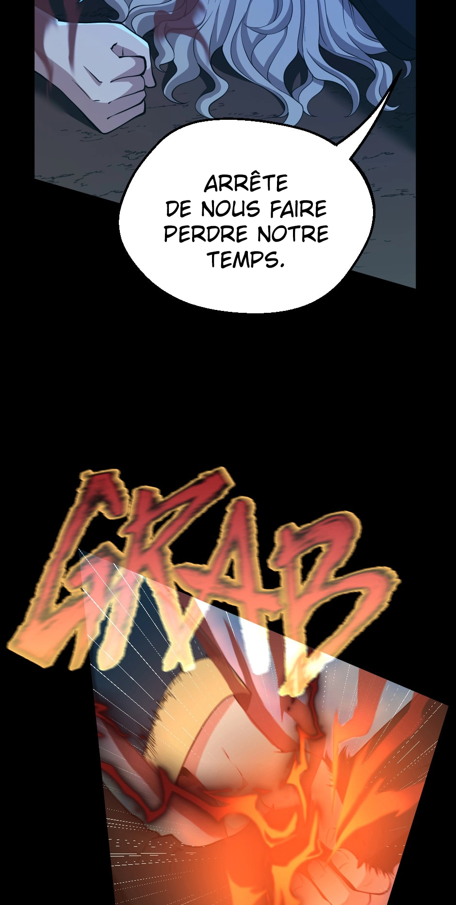 Chapitre 132