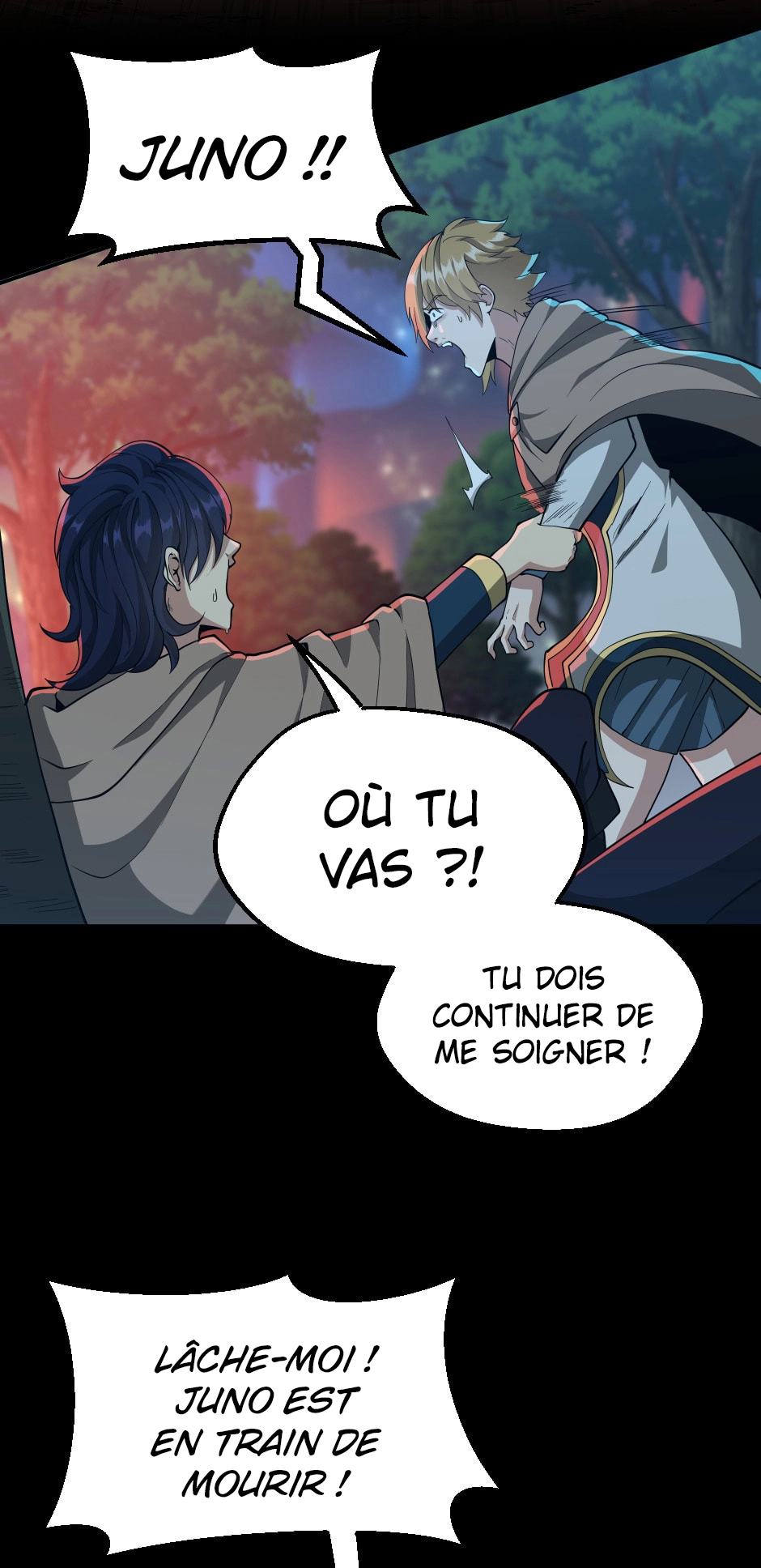 Chapitre 132