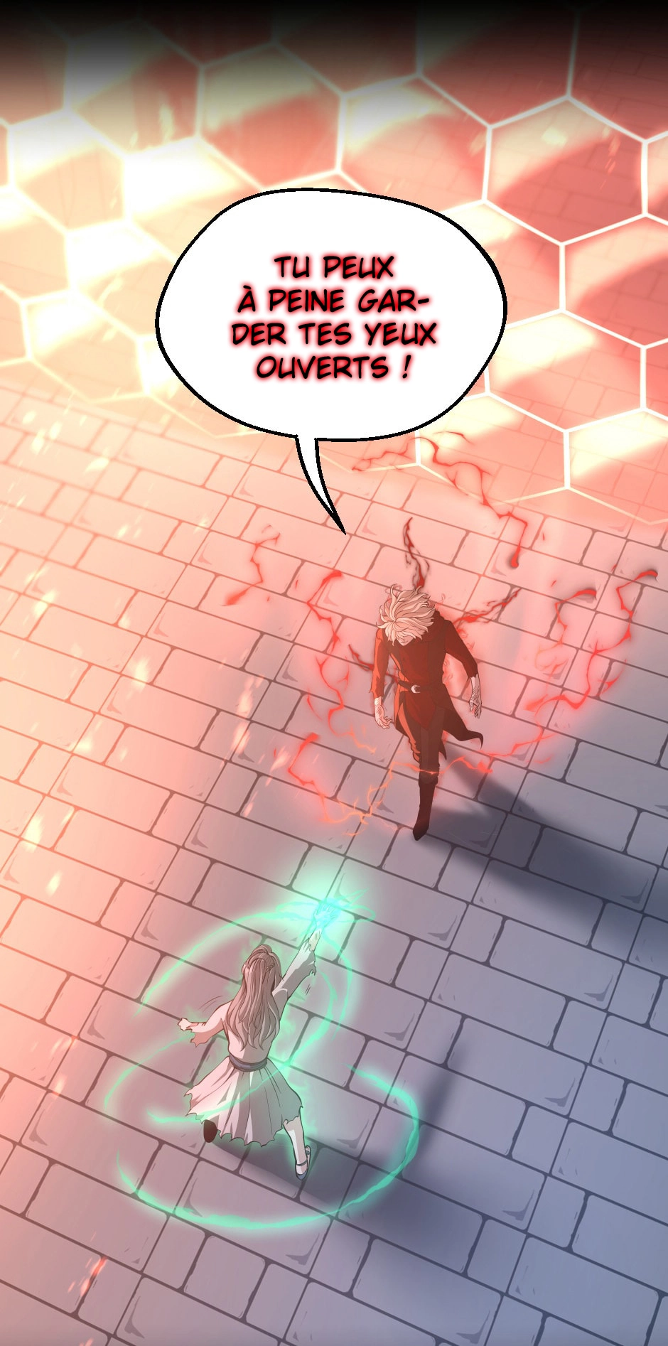 Chapitre 135