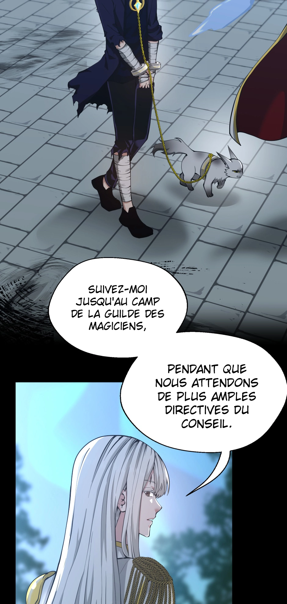 Chapitre 141